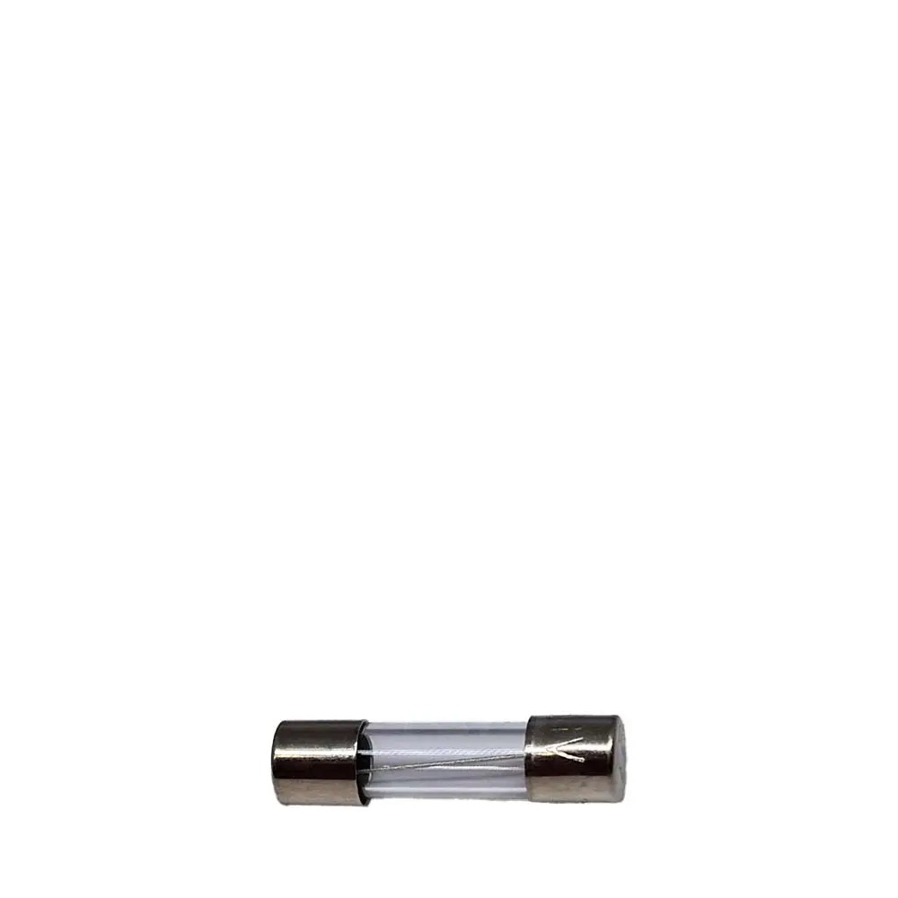 Quick Mill glaszekering 5x20 mm 3.15 Ampère